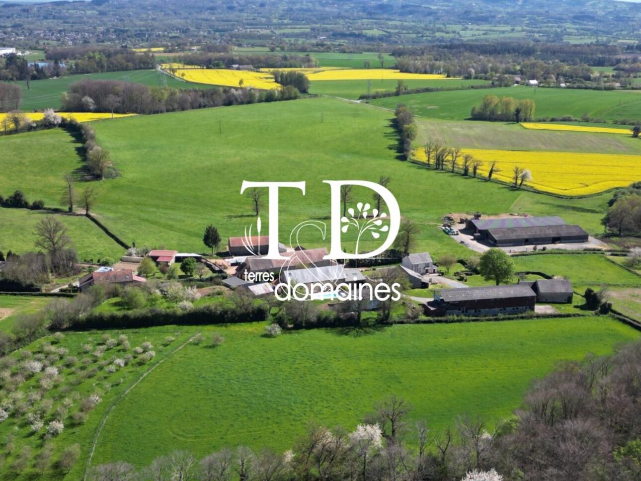 Photos 11 - Équestre - Superbe propriété rurale sur 06 hectares 9469 avec une maison