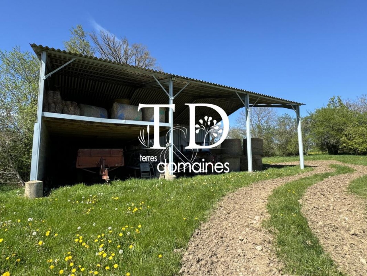 Photos 12 - Équestre - Superbe propriété rurale sur 06 hectares 9469 avec une maison