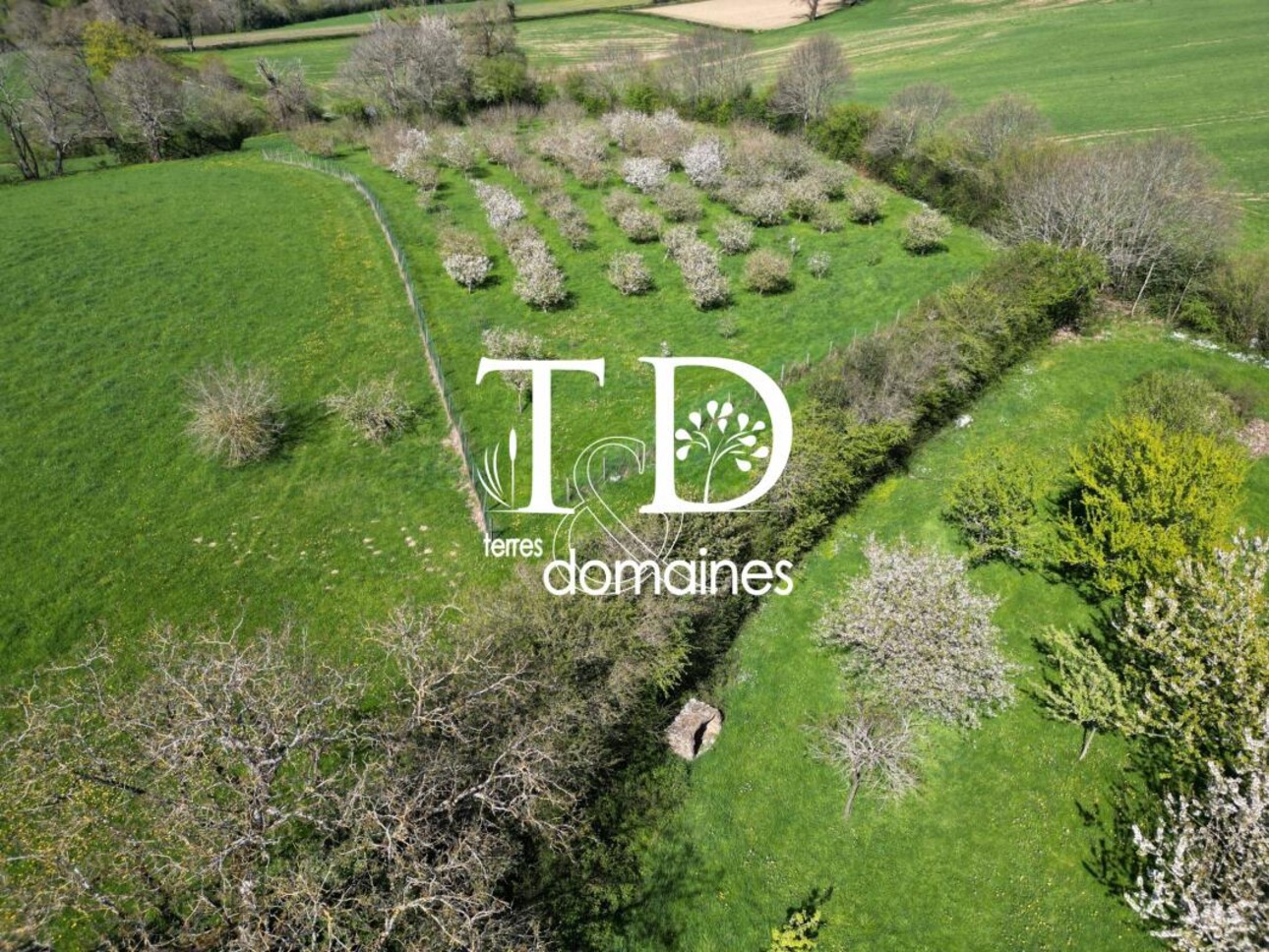 Photos 13 - Équestre - Superbe propriété rurale sur 06 hectares 9469 avec une maison