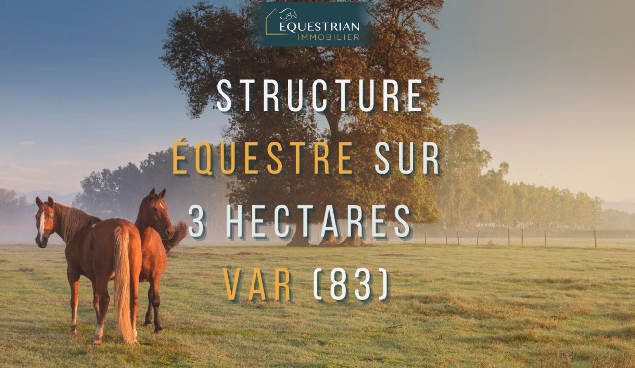 Photos 1 - Équestre - Structure équestre sur 3 hectares dans le Var (83)