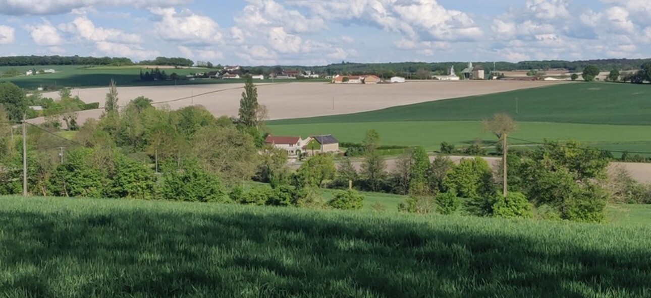 Photos 30 - Équestre - Dept de la Vienne (86) Propriété à vendre 7 pièces terrain 2 hectares SENILLE (86100)