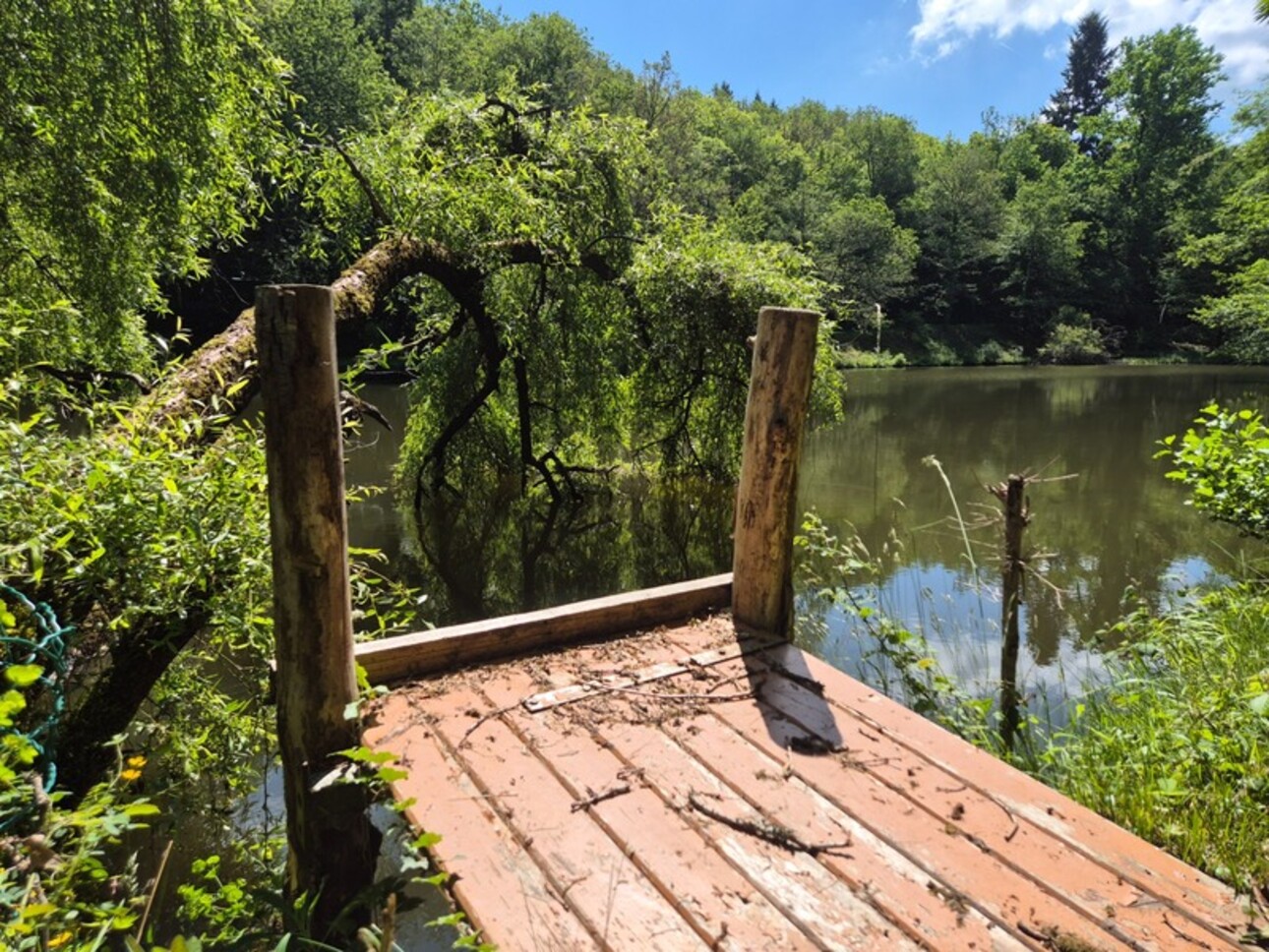 Photos 1 - Foncière - Deux beaux étangs, 6500 m2 d'eau pour pêche et loisirs sur un espace total de deux hectares de terrains