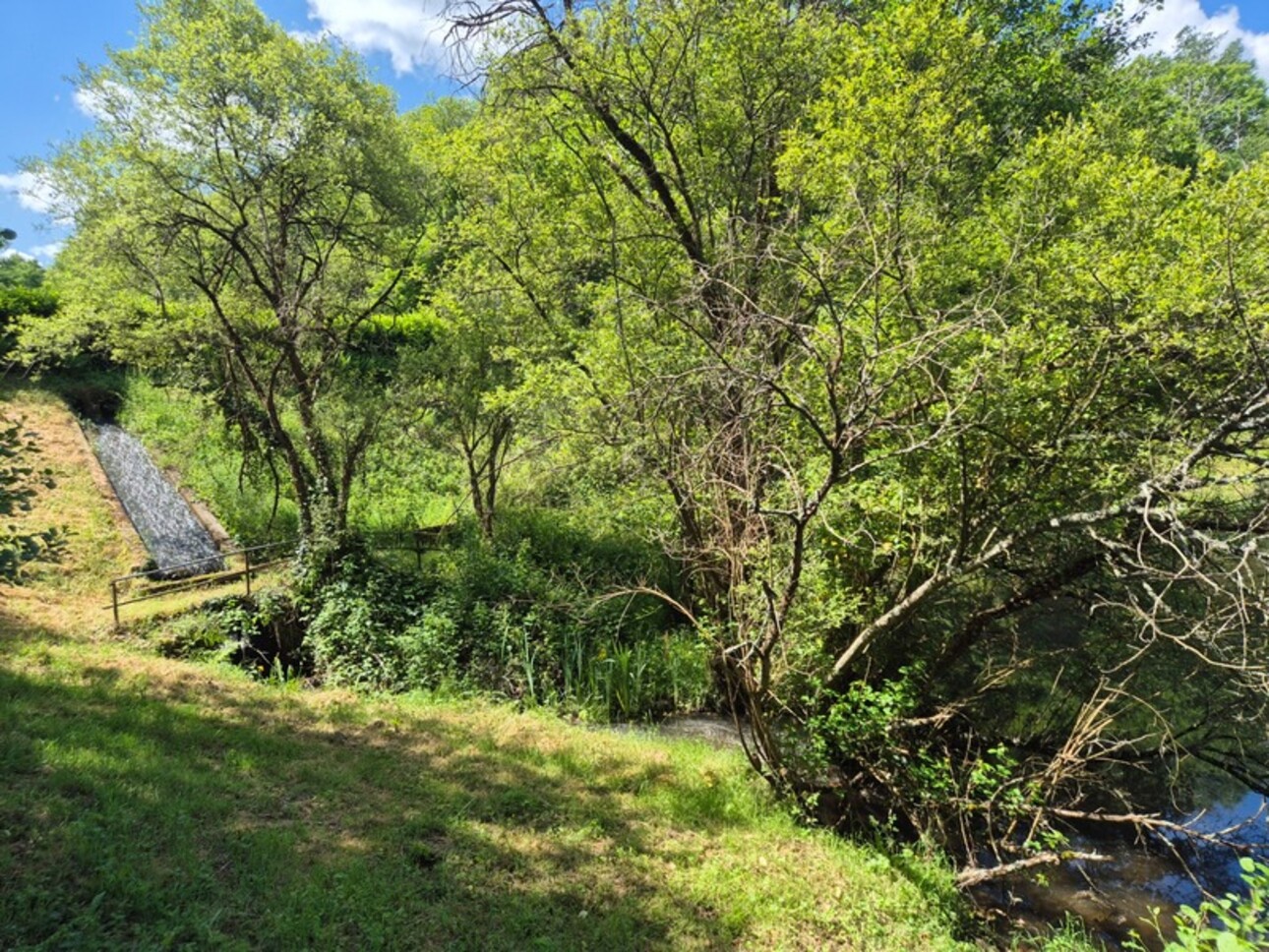 Photos 3 - Foncière - Deux beaux étangs, 6500 m2 d'eau pour pêche et loisirs sur un espace total de deux hectares de terrains