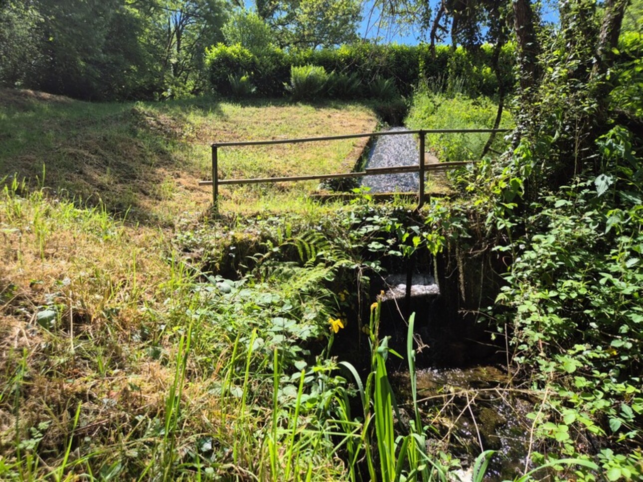 Photos 5 - Foncière - Deux beaux étangs, 6500 m2 d'eau pour pêche et loisirs sur un espace total de deux hectares de terrains