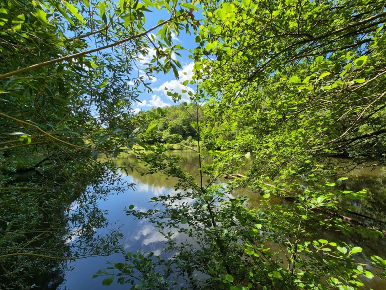 Photos 6 - Foncière - Deux beaux étangs, 6500 m2 d'eau pour pêche et loisirs sur un espace total de deux hectares de terrains