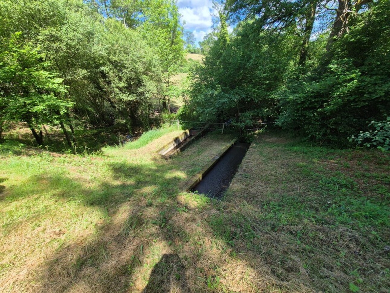 Photos 7 - Foncière - Deux beaux étangs, 6500 m2 d'eau pour pêche et loisirs sur un espace total de deux hectares de terrains