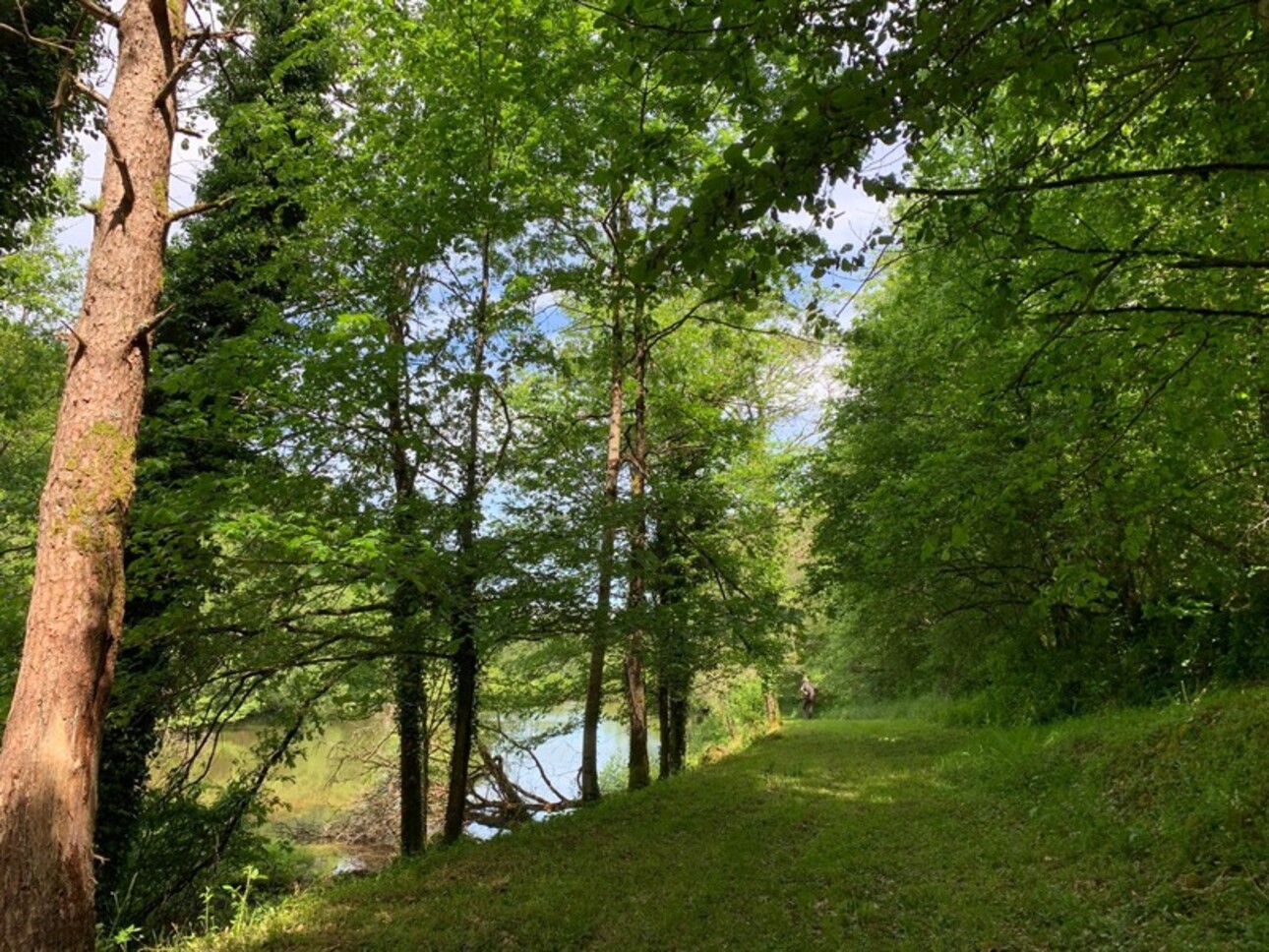 Photos 8 - Foncière - Deux beaux étangs, 6500 m2 d'eau pour pêche et loisirs sur un espace total de deux hectares de terrains