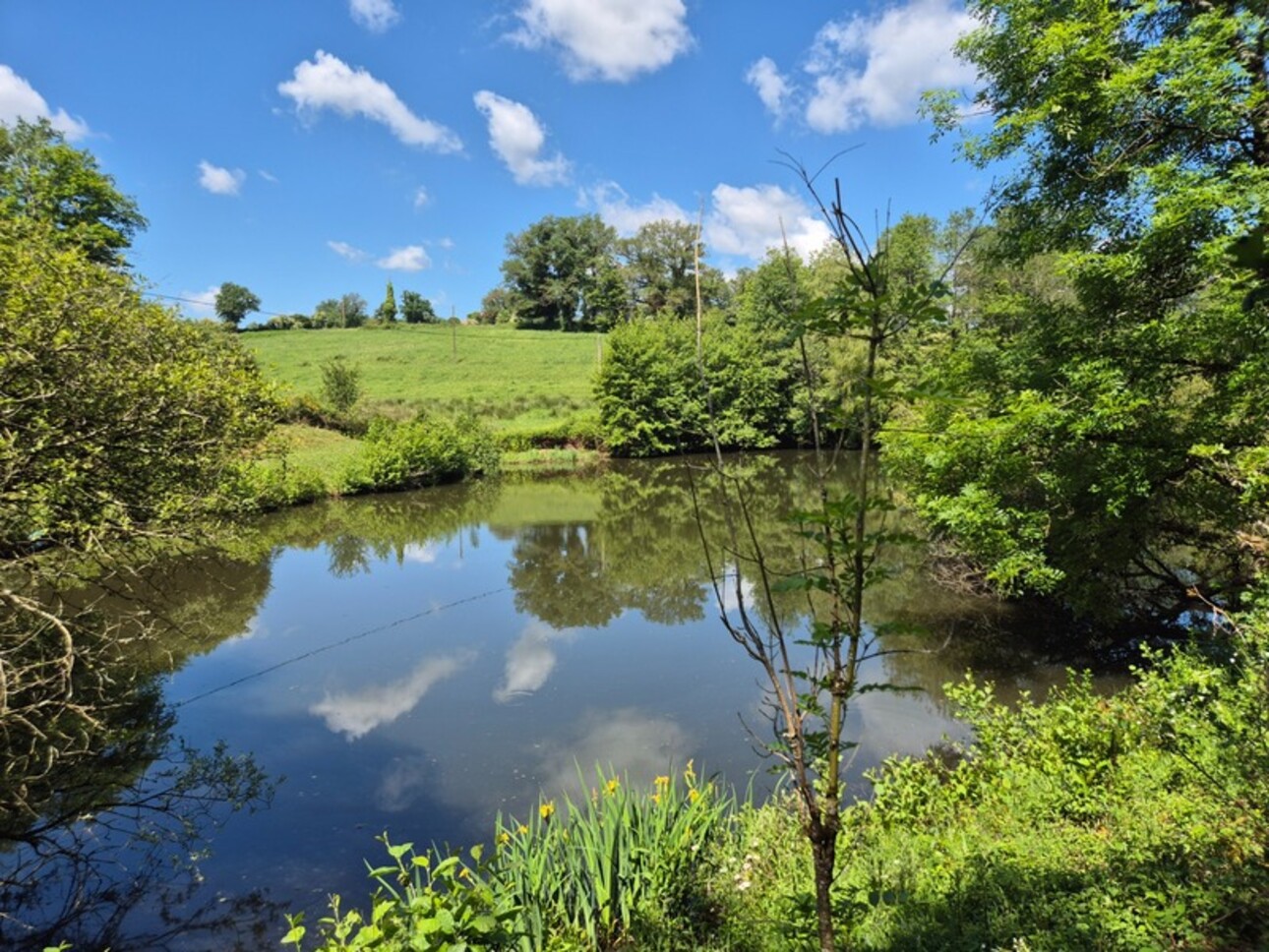 Photos 11 - Foncière - Deux beaux étangs, 6500 m2 d'eau pour pêche et loisirs sur un espace total de deux hectares de terrains