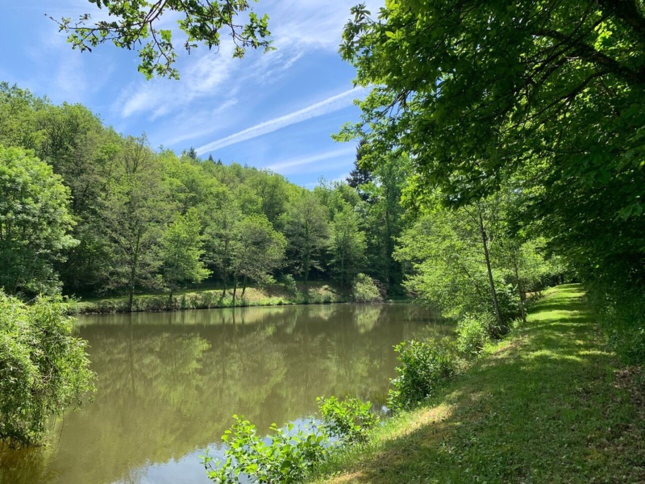 Photos 12 - Foncière - Deux beaux étangs, 6500 m2 d'eau pour pêche et loisirs sur un espace total de deux hectares de terrains