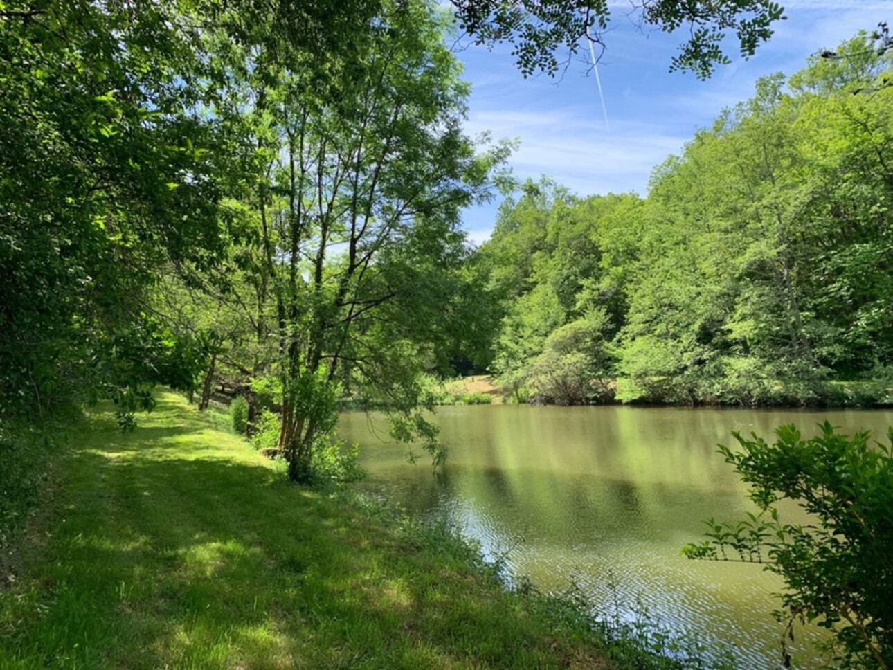Photos 14 - Foncière - Deux beaux étangs, 6500 m2 d'eau pour pêche et loisirs sur un espace total de deux hectares de terrains