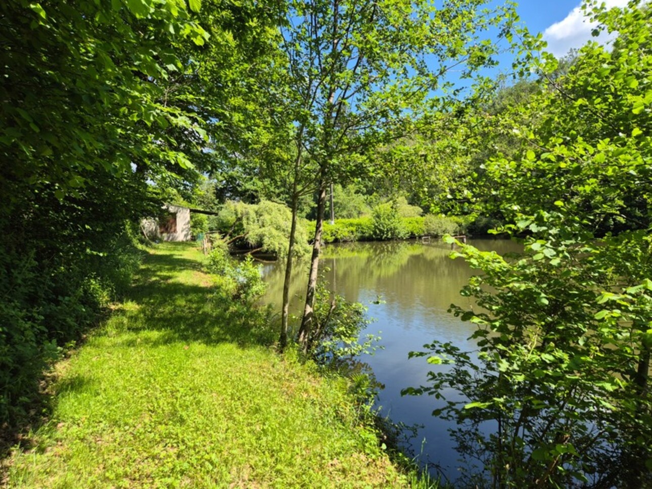 Photos 15 - Foncière - Deux beaux étangs, 6500 m2 d'eau pour pêche et loisirs sur un espace total de deux hectares de terrains