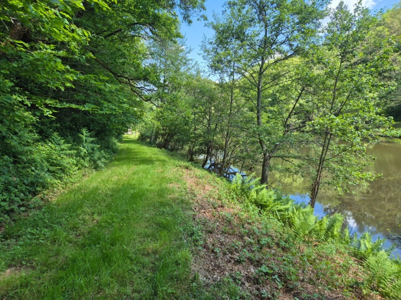 Photos 16 - Foncière - Deux beaux étangs, 6500 m2 d'eau pour pêche et loisirs sur un espace total de deux hectares de terrains