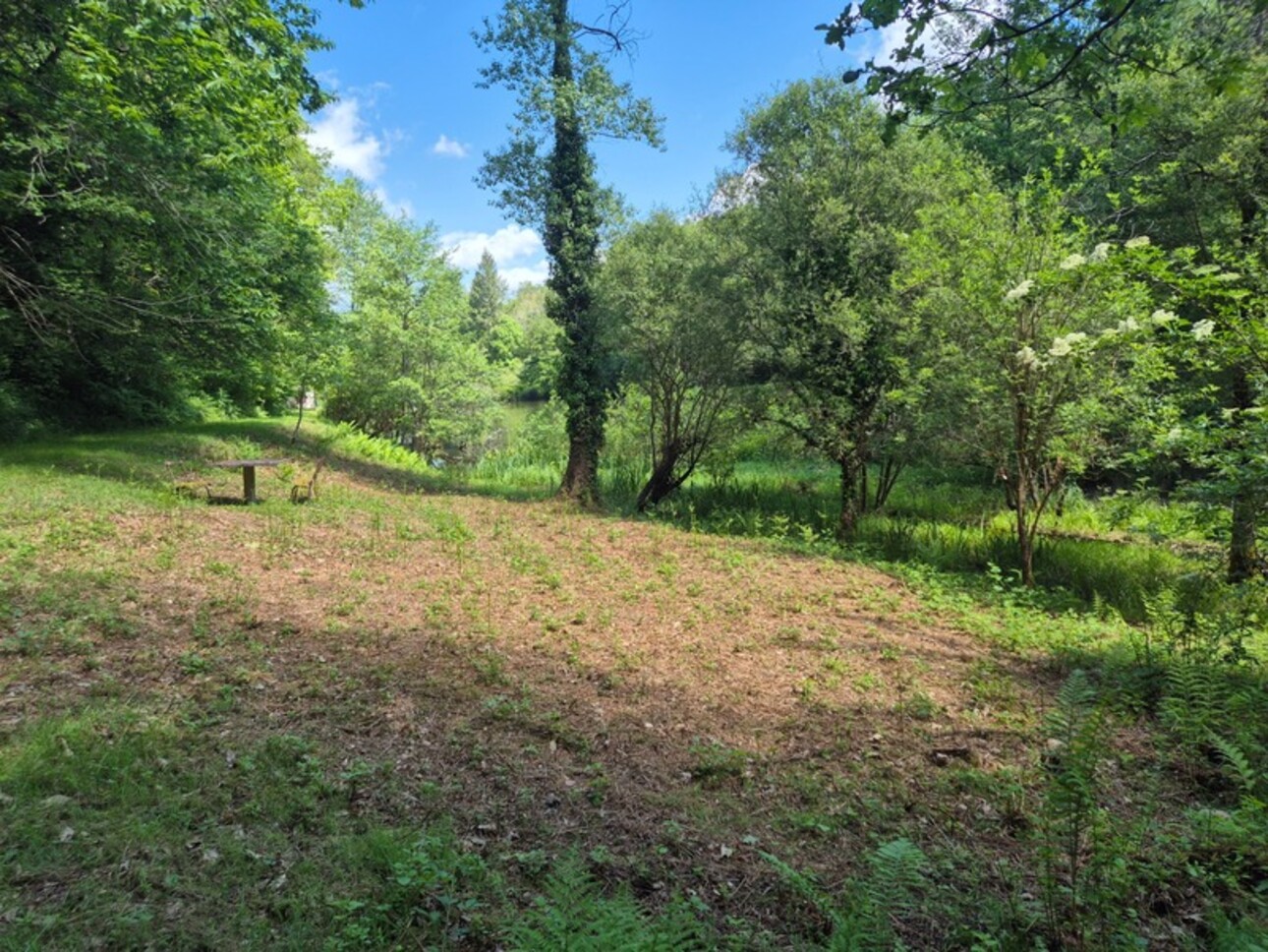 Photos 17 - Foncière - Deux beaux étangs, 6500 m2 d'eau pour pêche et loisirs sur un espace total de deux hectares de terrains