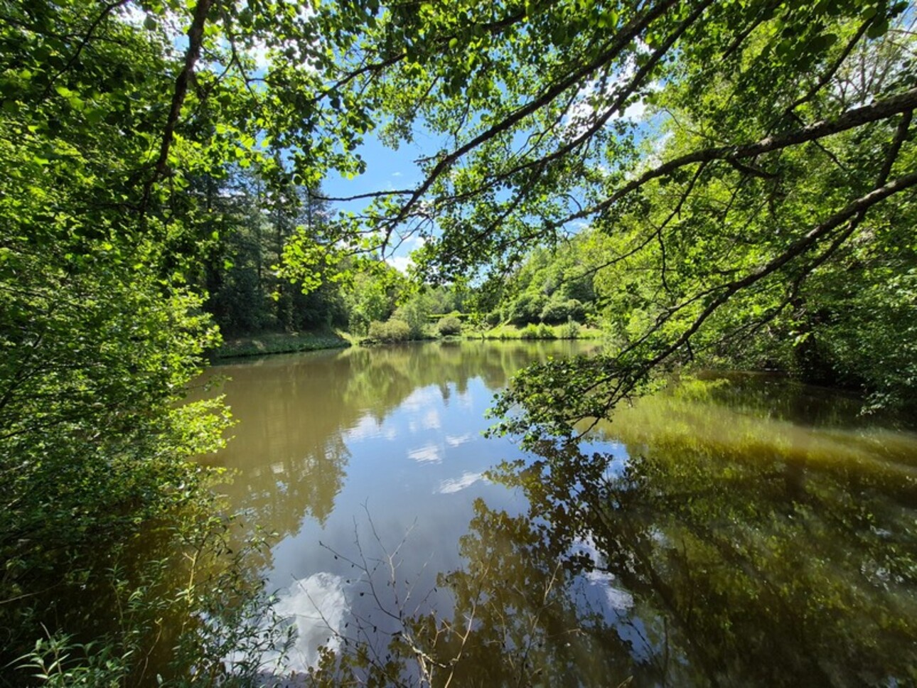 Photos 18 - Foncière - Deux beaux étangs, 6500 m2 d'eau pour pêche et loisirs sur un espace total de deux hectares de terrains