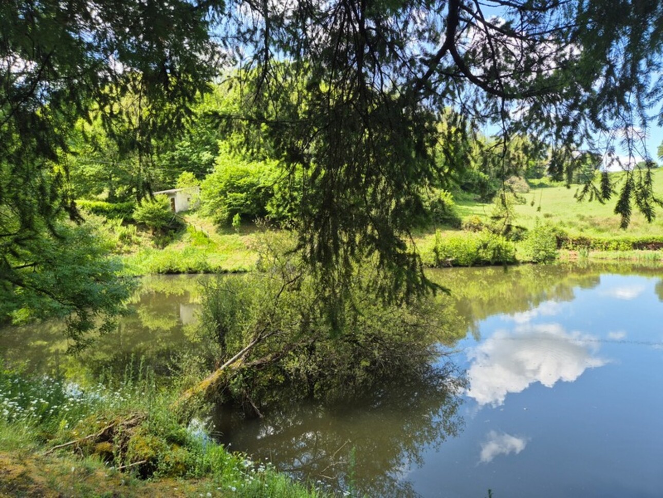 Photos 19 - Foncière - Deux beaux étangs, 6500 m2 d'eau pour pêche et loisirs sur un espace total de deux hectares de terrains