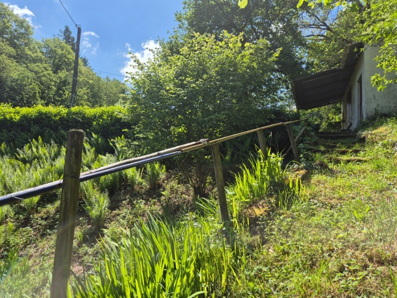 Photos 20 - Foncière - Deux beaux étangs, 6500 m2 d'eau pour pêche et loisirs sur un espace total de deux hectares de terrains