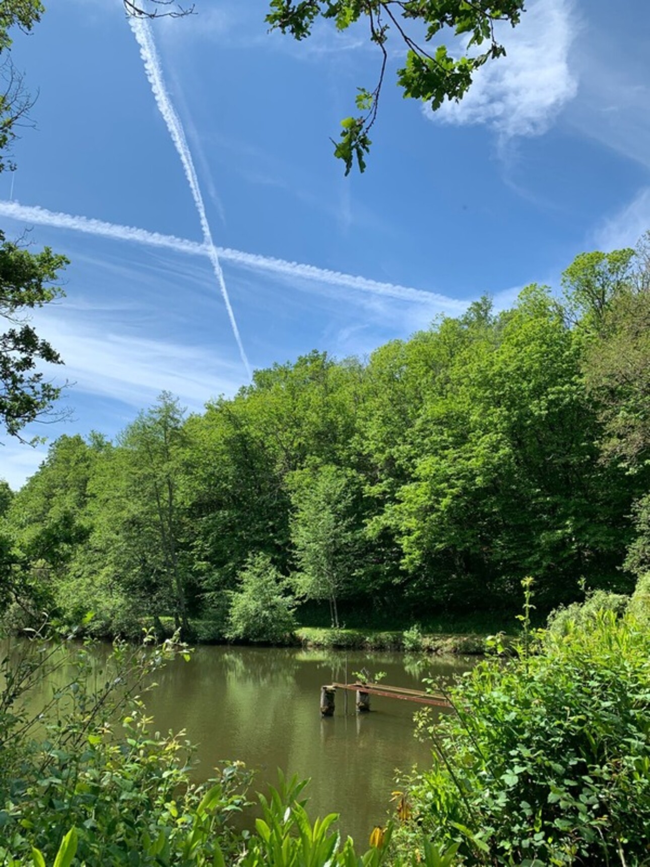 Photos 22 - Foncière - Deux beaux étangs, 6500 m2 d'eau pour pêche et loisirs sur un espace total de deux hectares de terrains