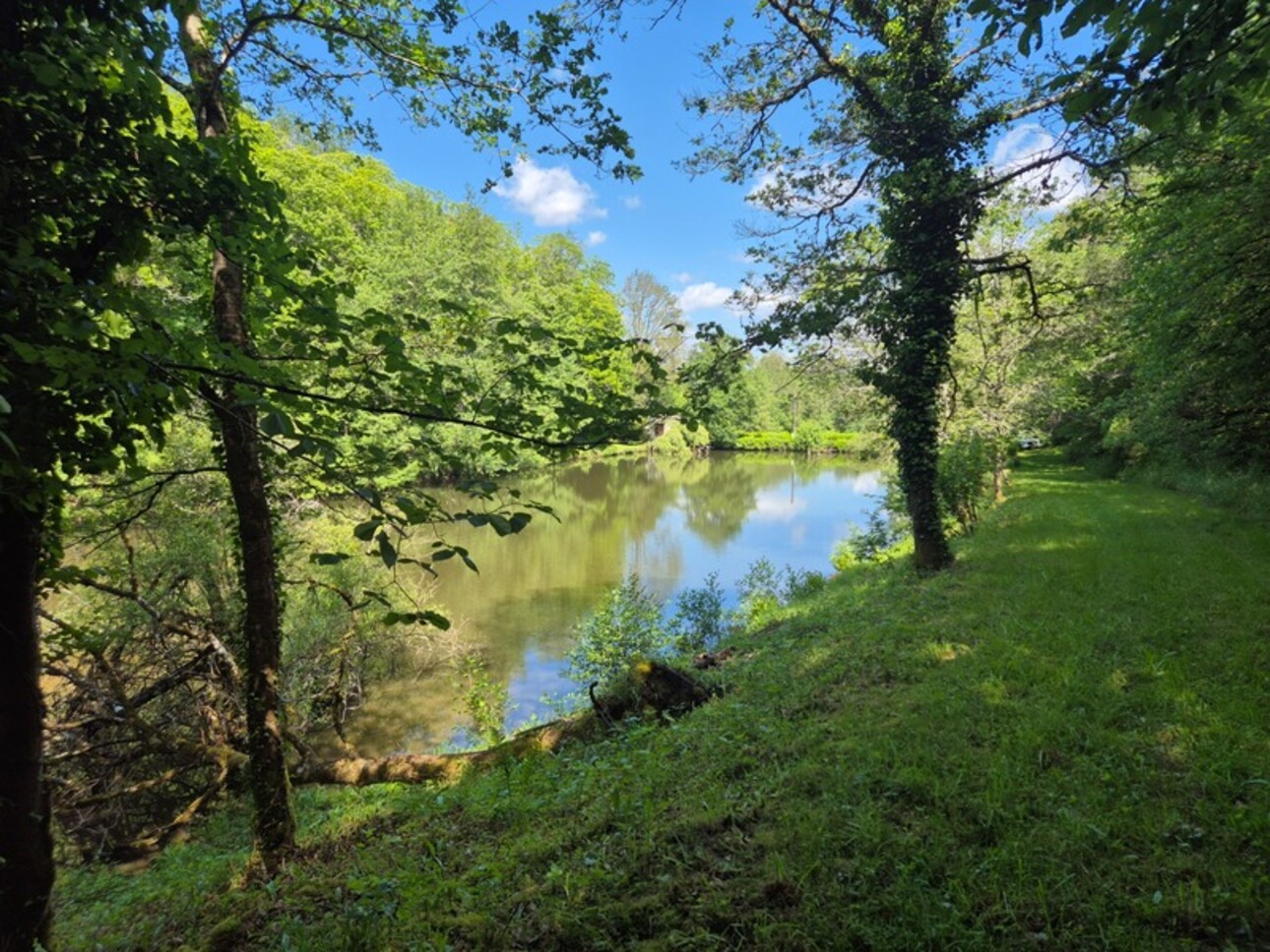 Photos 26 - Foncière - Deux beaux étangs, 6500 m2 d'eau pour pêche et loisirs sur un espace total de deux hectares de terrains