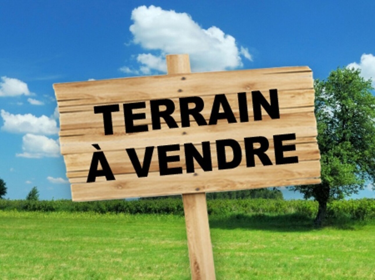 Photos 1 - Foncière - Terrain à vendre  CARNAS (30)