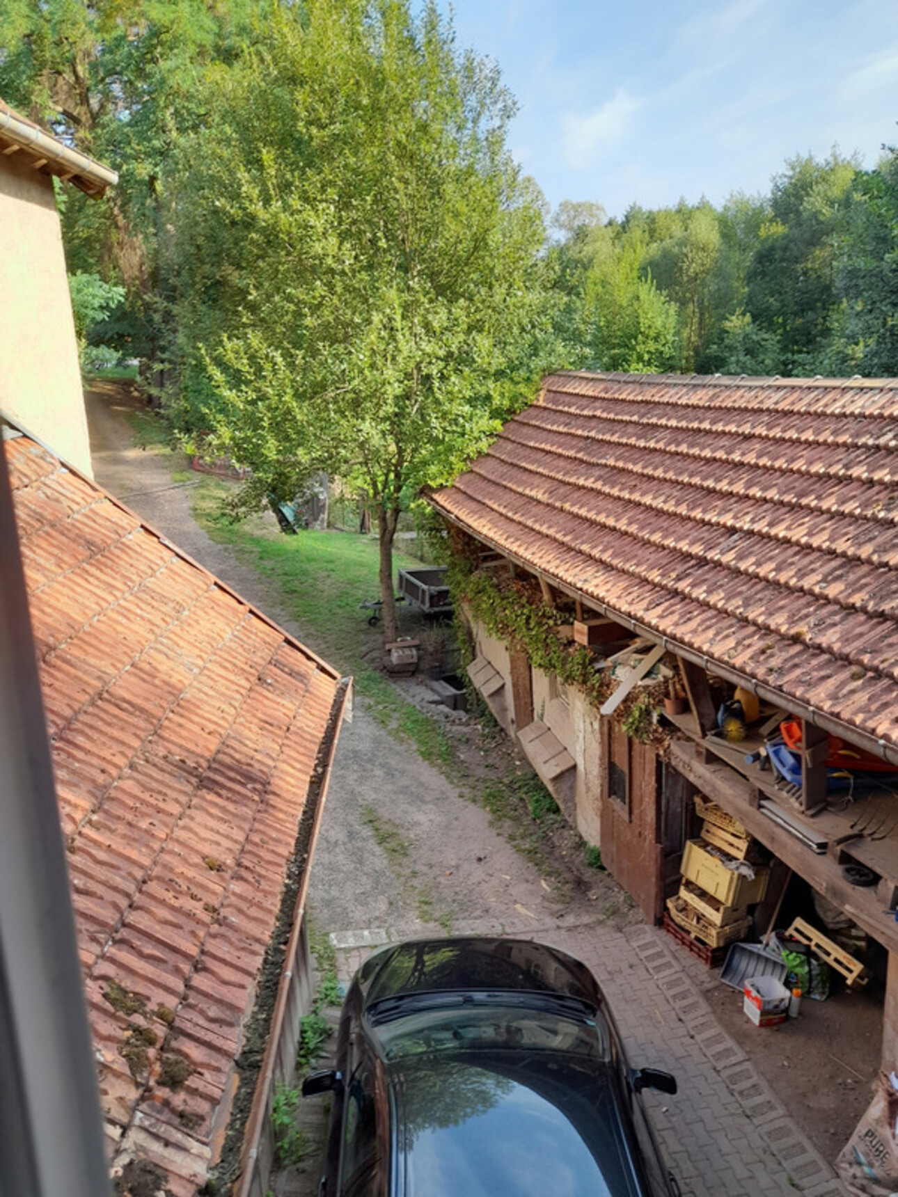 Photos 6 - Touristique - Ferme rénovée, sur 50 ares avec rivière