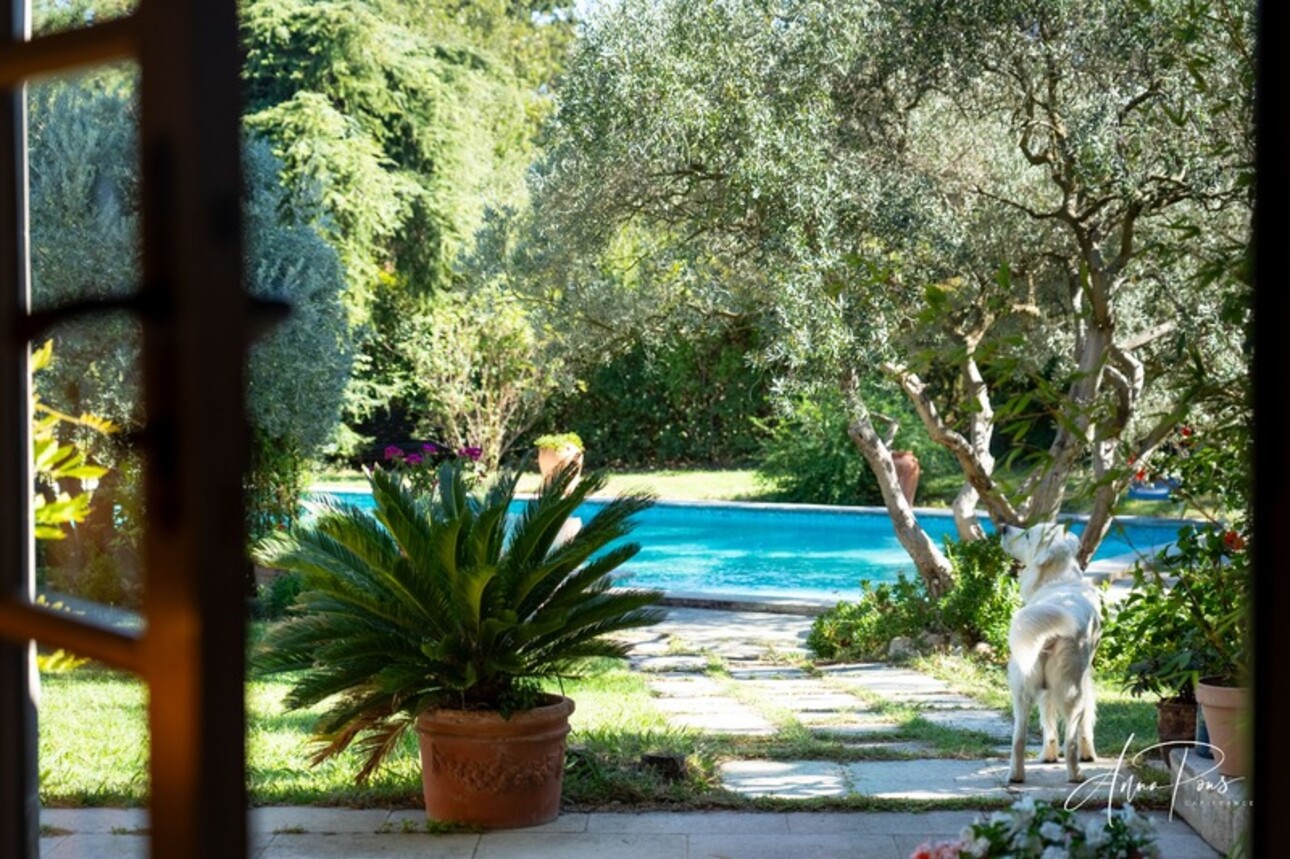 Photos 8 - Prestige - Dpt Vaucluse (84), à vendre JONQUERETTES propriete P15 de 540 m² -piscine - Rue des écoles