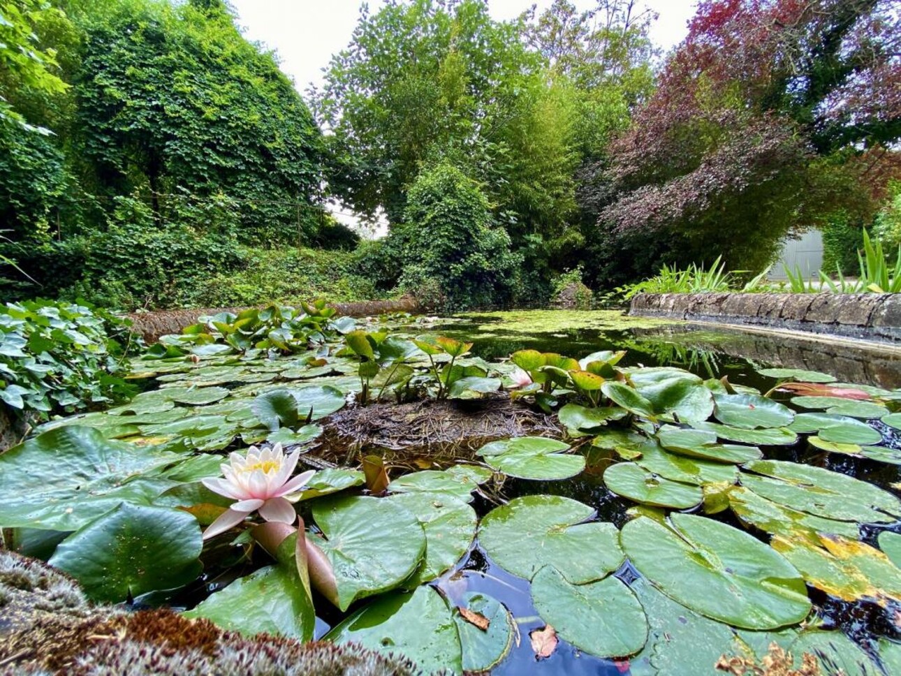 Photos 15 - Prestigious - Property
