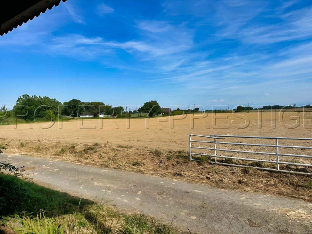 Photos 3 - Agricole - BEARN PROPRIETE 23 HA LACS