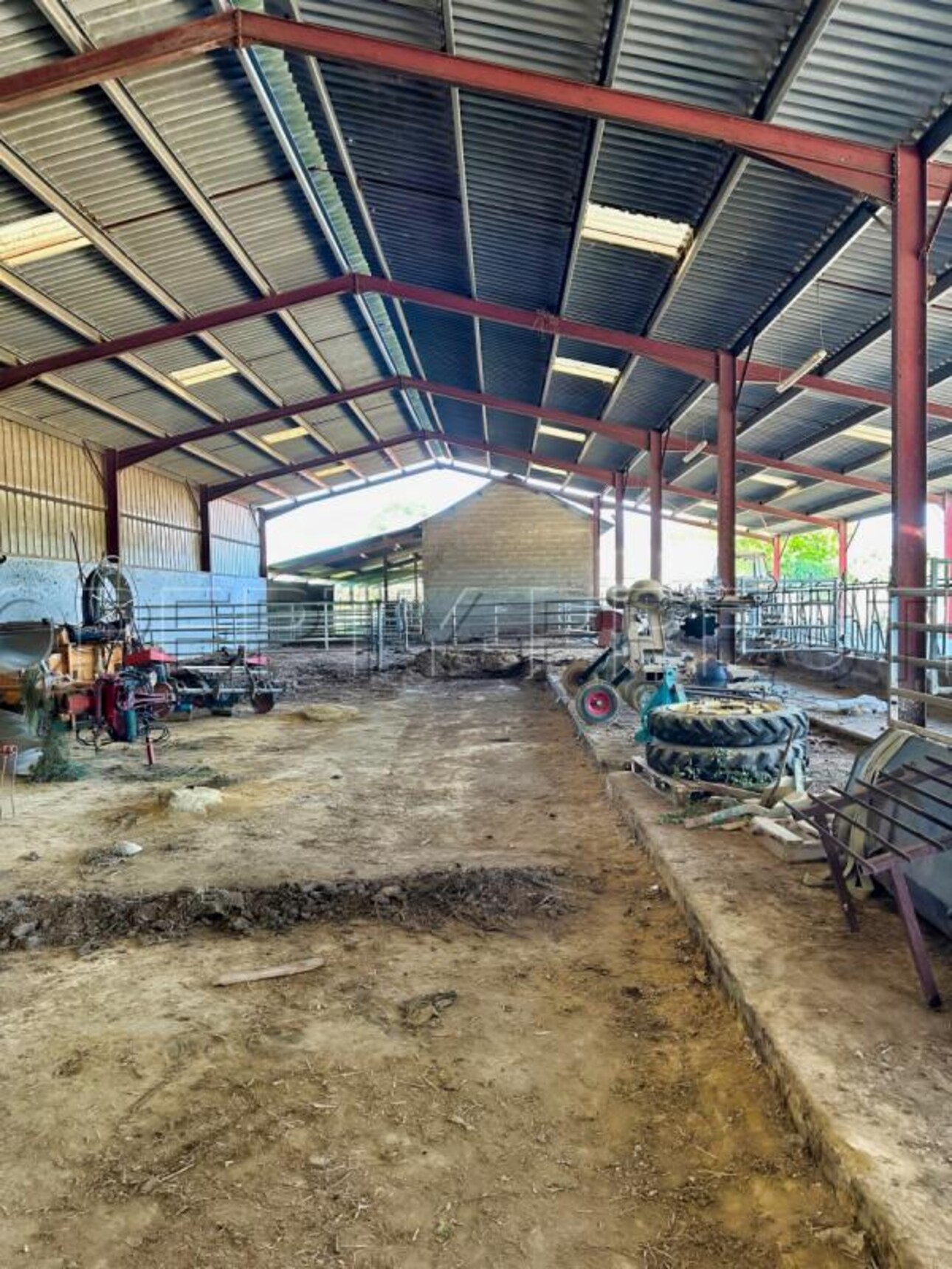 Photos 7 - Agricole - BEARN PROPRIETE 23 HA LACS