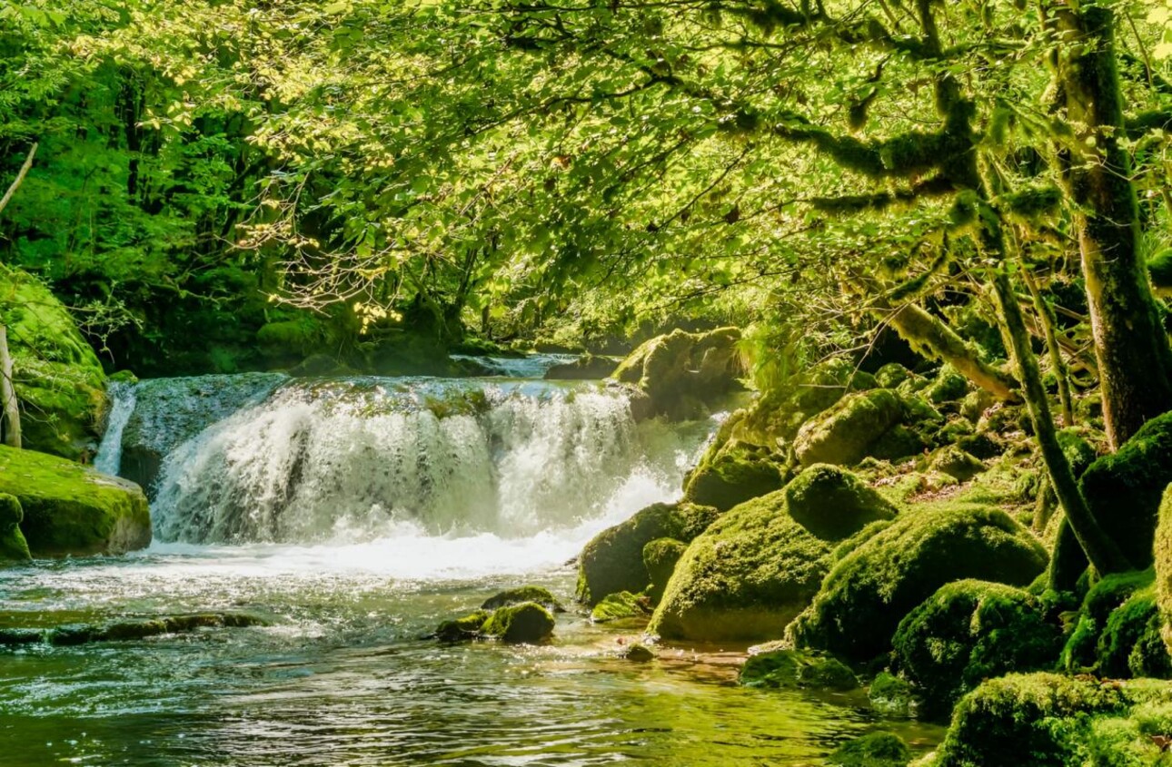 Photos 1 - Touristique - AUDE PROPRIETE ECOLOGIQUE GITES 180 HA