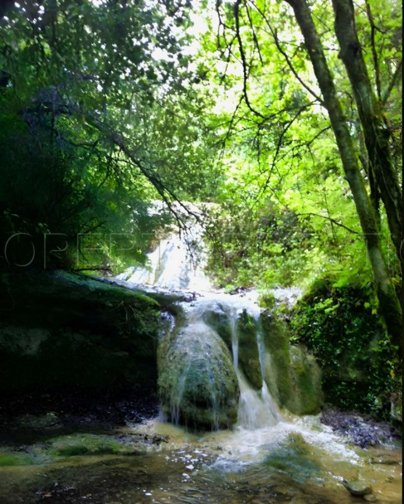 Photos 8 - Touristique - AUDE PROPRIETE ECOLOGIQUE GITES 180 HA