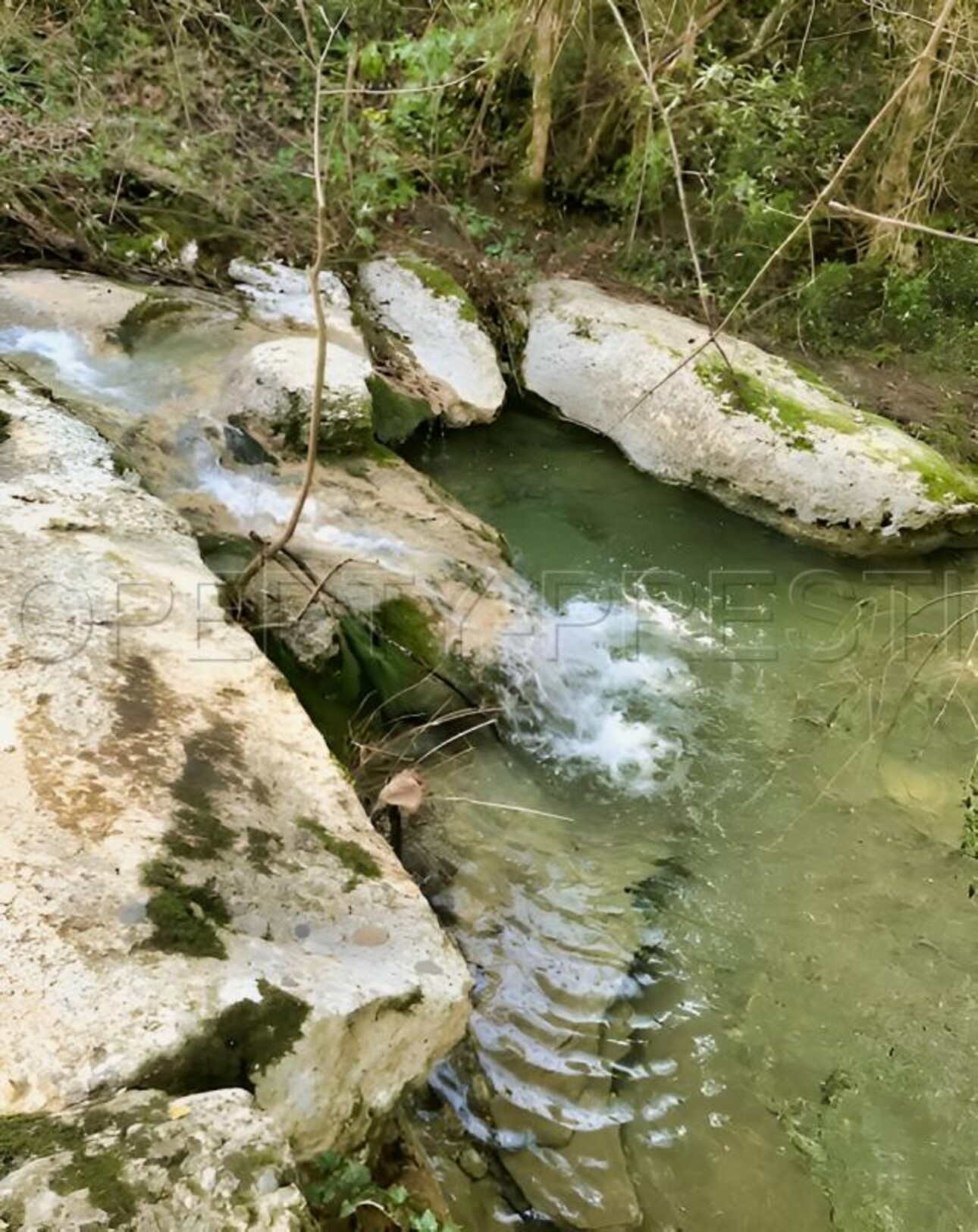 Photos 10 - Touristique - AUDE PROPRIETE ECOLOGIQUE GITES 180 HA