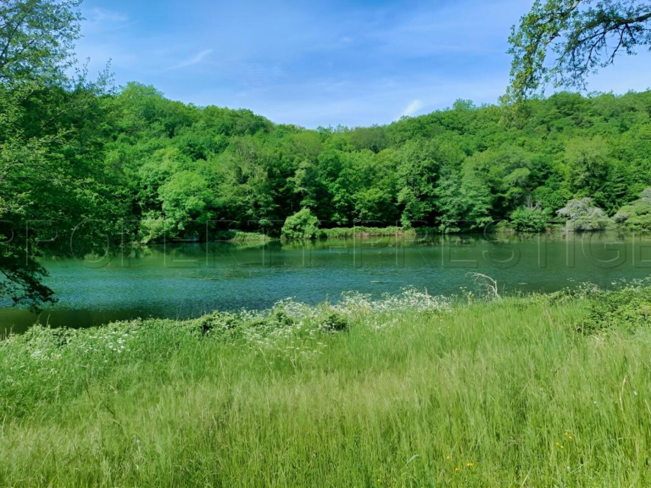Photos 2 - Prestige - PERIGORD VERT PROPRIETE XIXème 88 HA ETANGS RIVIERE