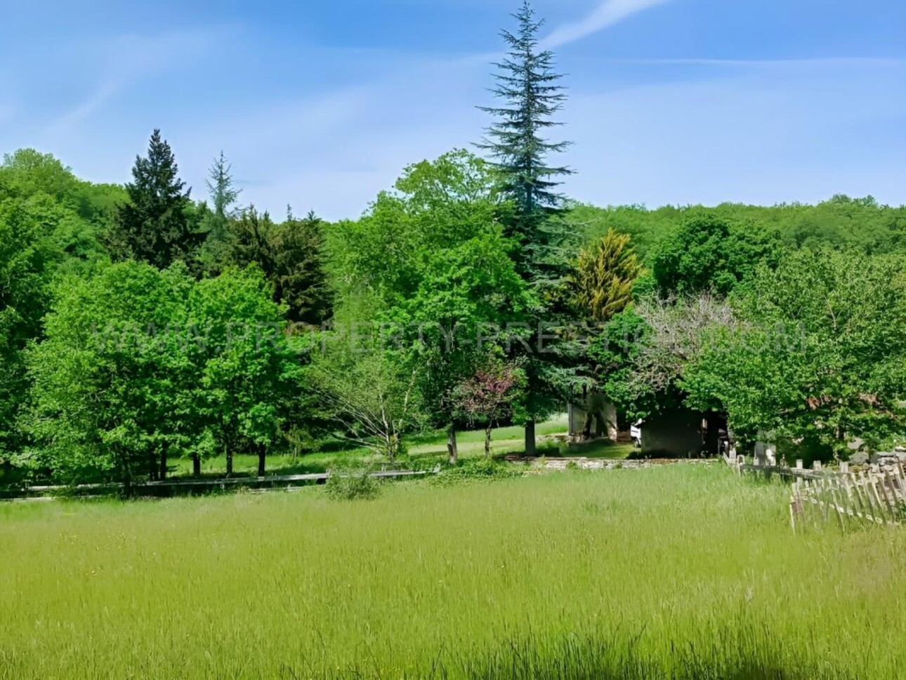 Photos 9 - Prestige - PERIGORD VERT PROPRIETE XIXème 88 HA ETANGS RIVIERE