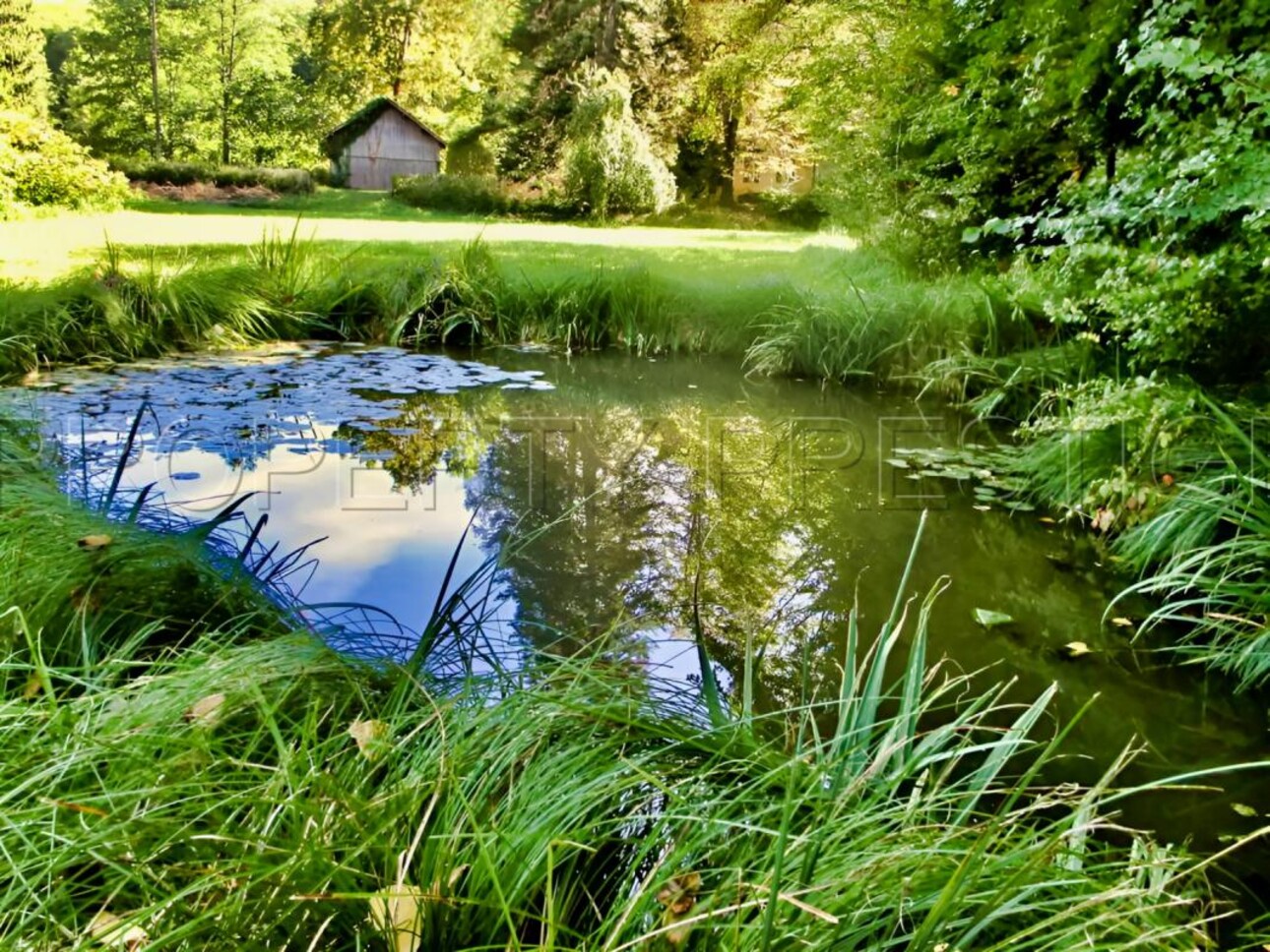 Photos 1 - Prestige - DORDOGNE LOGIS MOULIN A EAU 8 HA