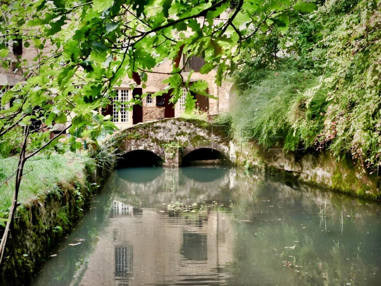 Photos 7 - Prestige - DORDOGNE LOGIS MOULIN A EAU 8 HA