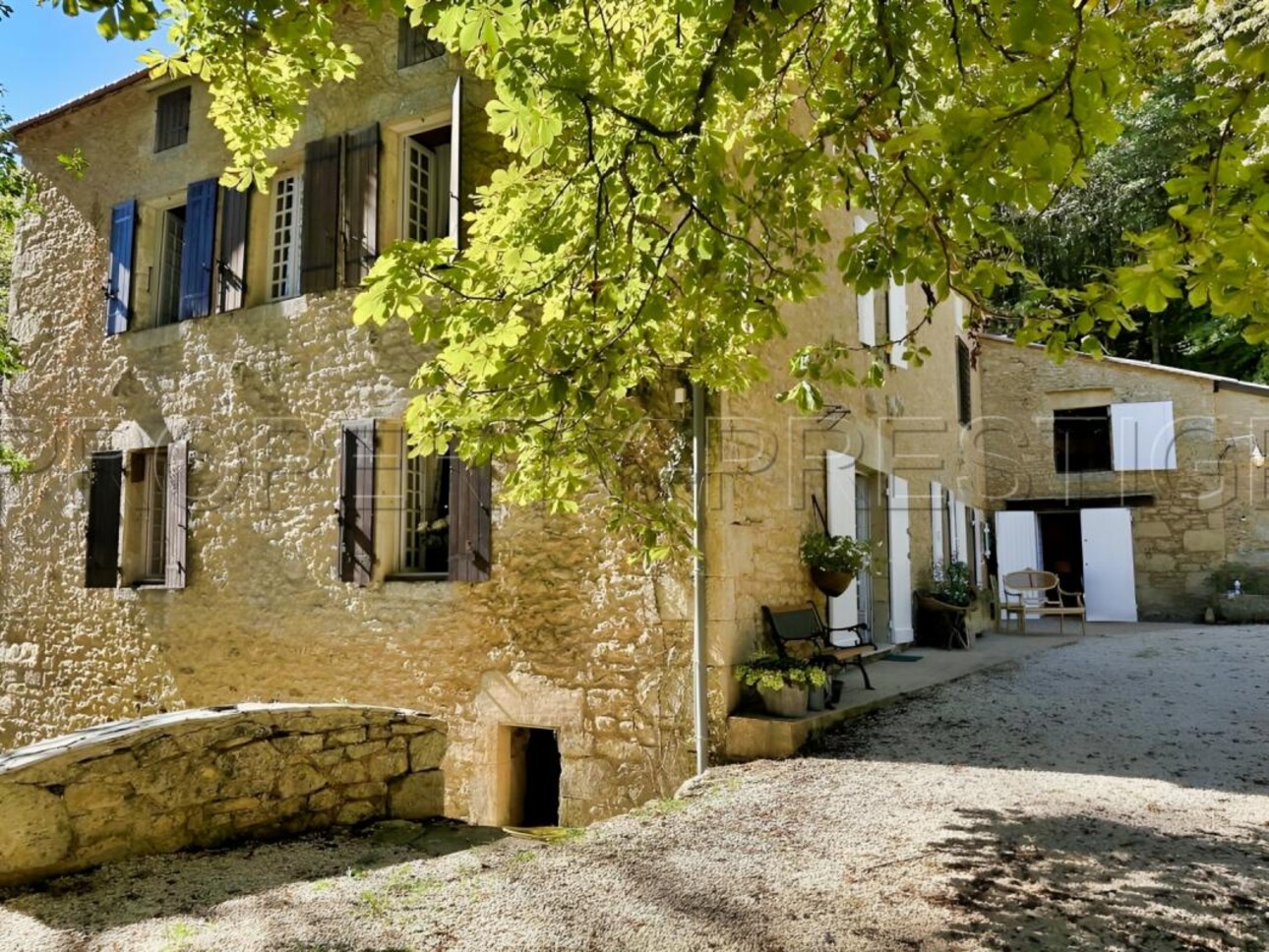 Photos 13 - Prestige - DORDOGNE LOGIS MOULIN A EAU 8 HA