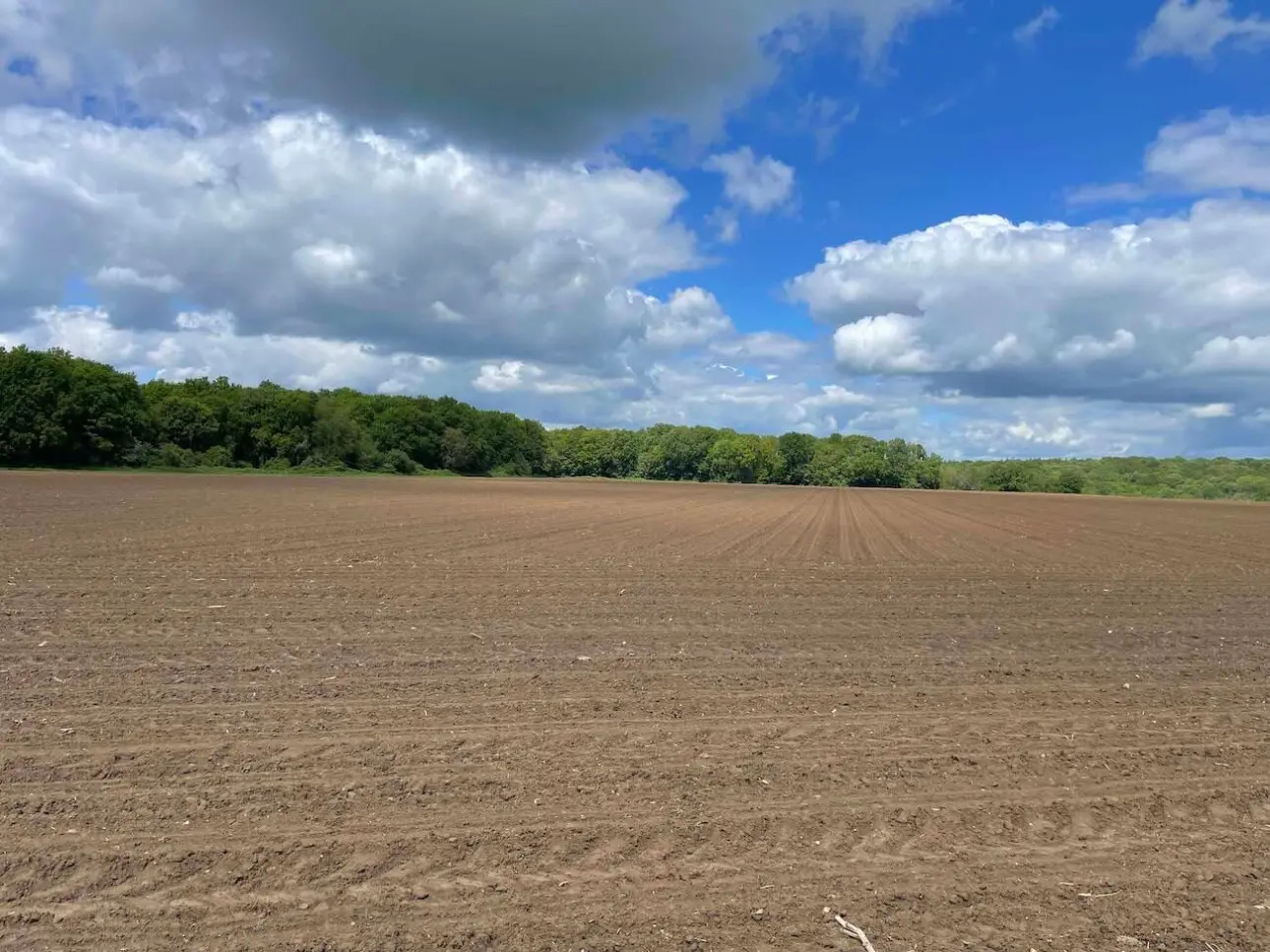 Photos 2 - Foncière - Intégralité des parts de sociétés comprenant un ensemble agricole et forestier