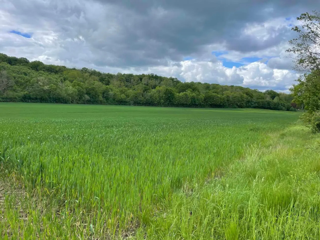 Photos 3 - Foncière - Intégralité des parts de sociétés comprenant un ensemble agricole et forestier