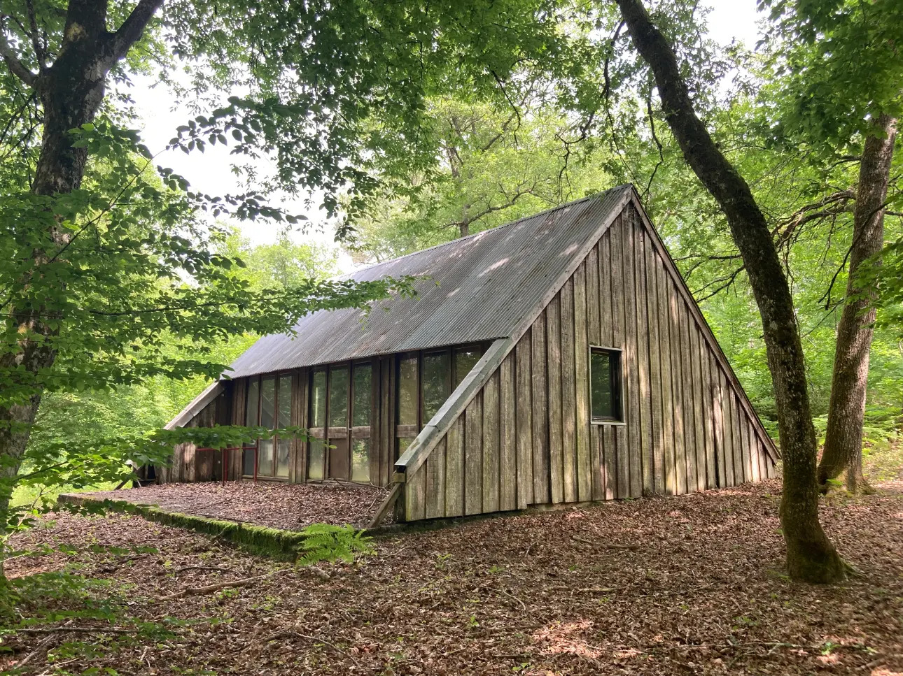 Photos 3 - Forestière - En Dordogne, rare parc de 10ha clôturé comprenant 2 étangs, des bois feuillus et résineux et un hangar