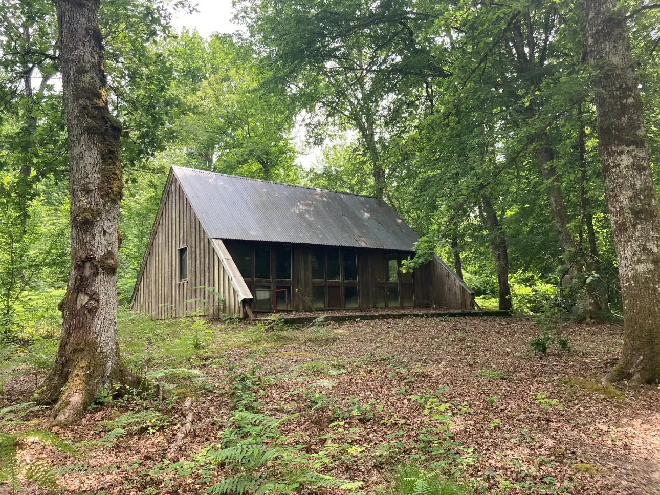 Photos 4 - Forestière - En Dordogne, rare parc de 10ha clôturé comprenant 2 étangs, des bois feuillus et résineux et un hangar
