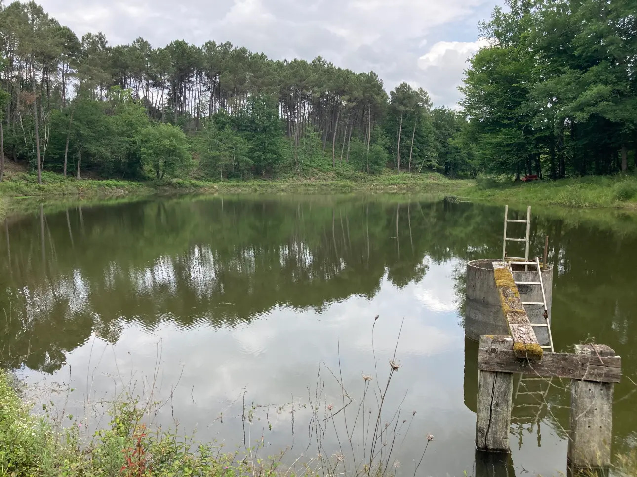 Photos 10 - Forestière - En Dordogne, rare parc de 10ha clôturé comprenant 2 étangs, des bois feuillus et résineux et un hangar