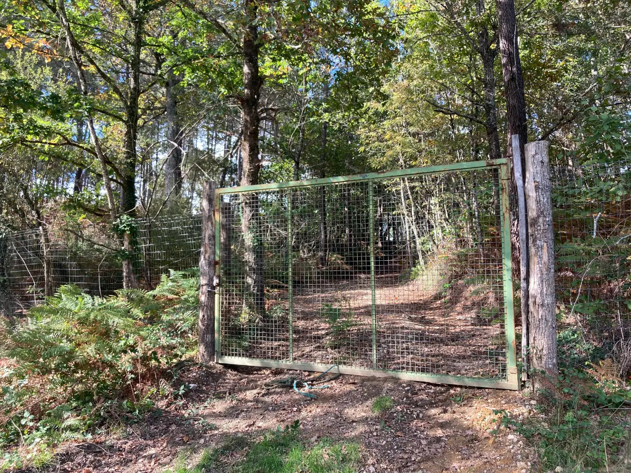 Photos 13 - Forestière - En Dordogne, rare parc de 10ha clôturé comprenant 2 étangs, des bois feuillus et résineux et un hangar