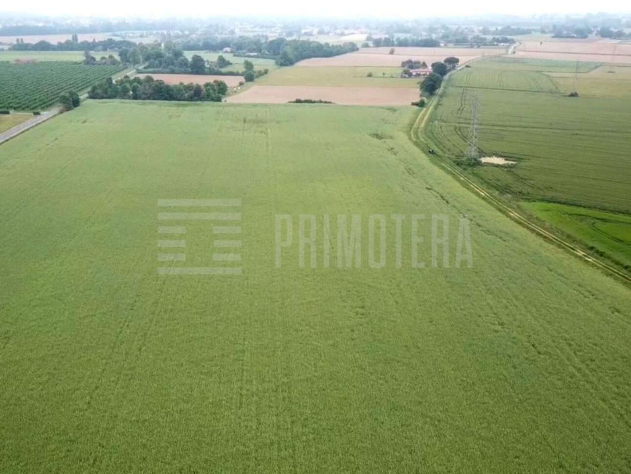 Photos 2 - Foncière - Terrain agricole