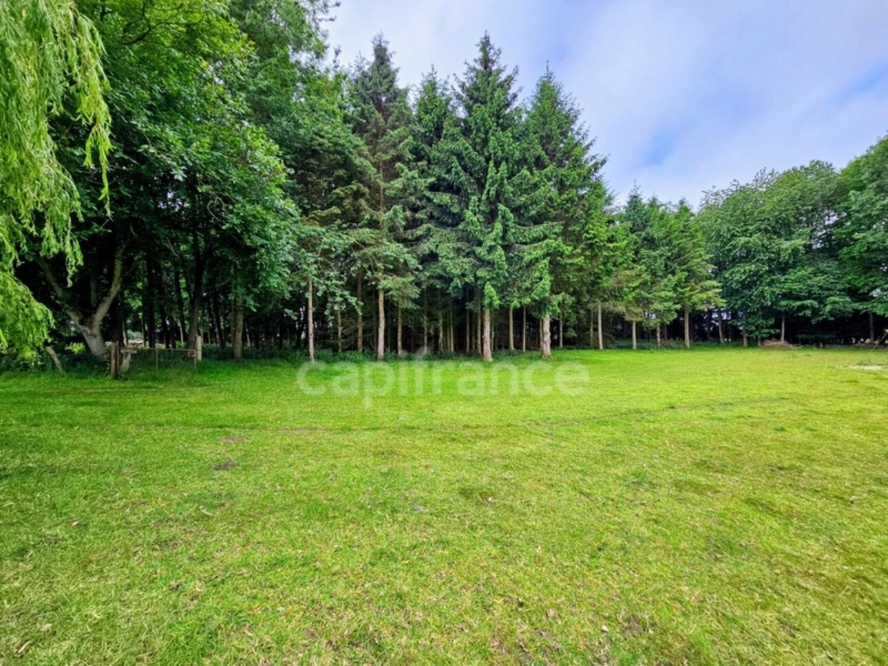 Photos 16 - Touristique - BEAU POTENTIEL POUR CET ANCIEN CORPS DE FERME AVEC GÎTE – 227 m² – SECTEUR LE MESNIL-RÉAUME (76)