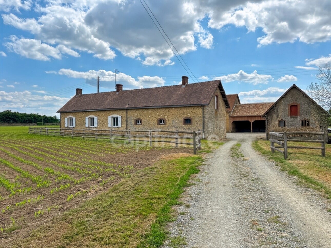 Photos 11 - Touristique - Propriéte à vendre  DOLLON (72) Corps de ferme environ 5 hectares