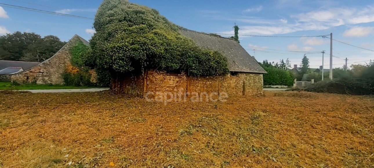 Photos 3 - Touristique - Maison à vendre 1 pièce COESMES (35)
