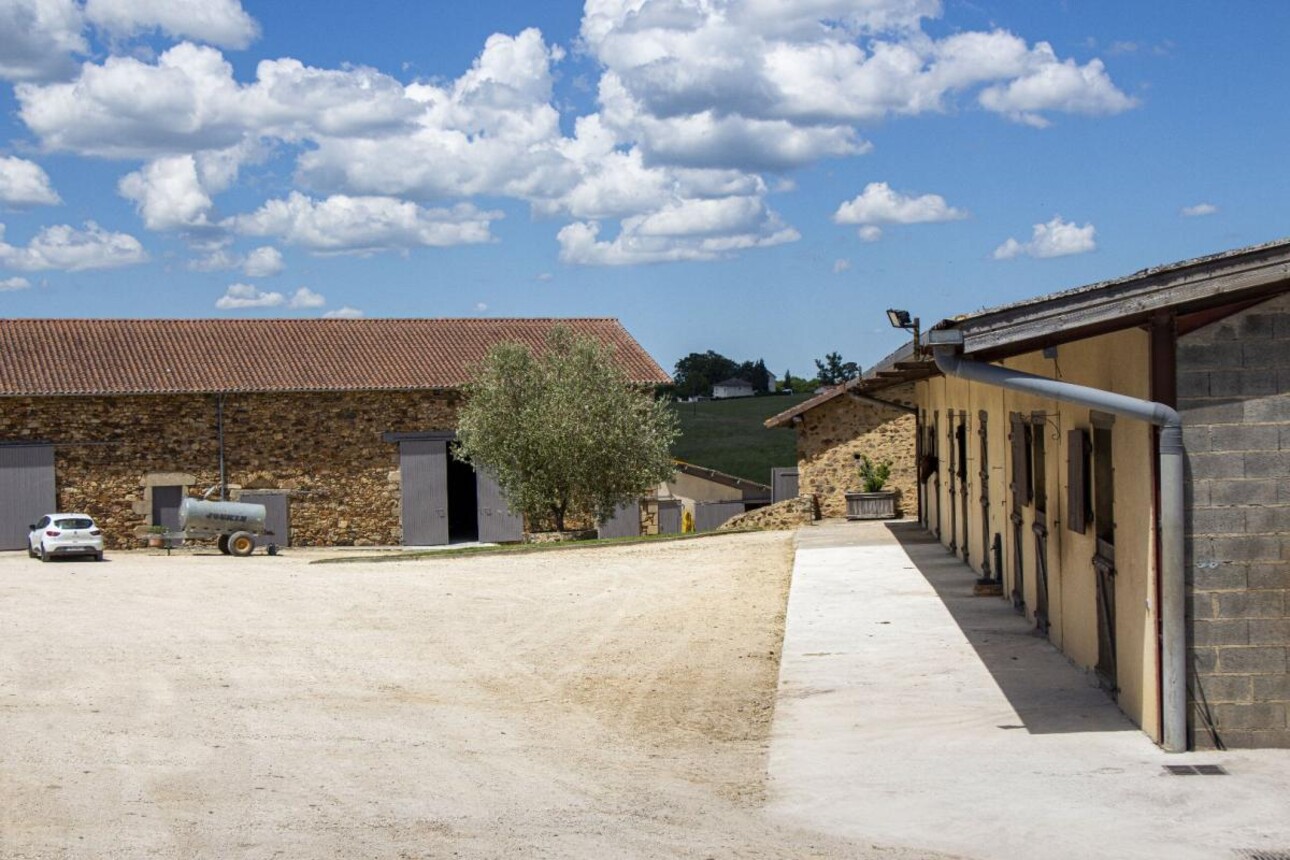 Photos 16 - Équestre - Haras / Equestre
