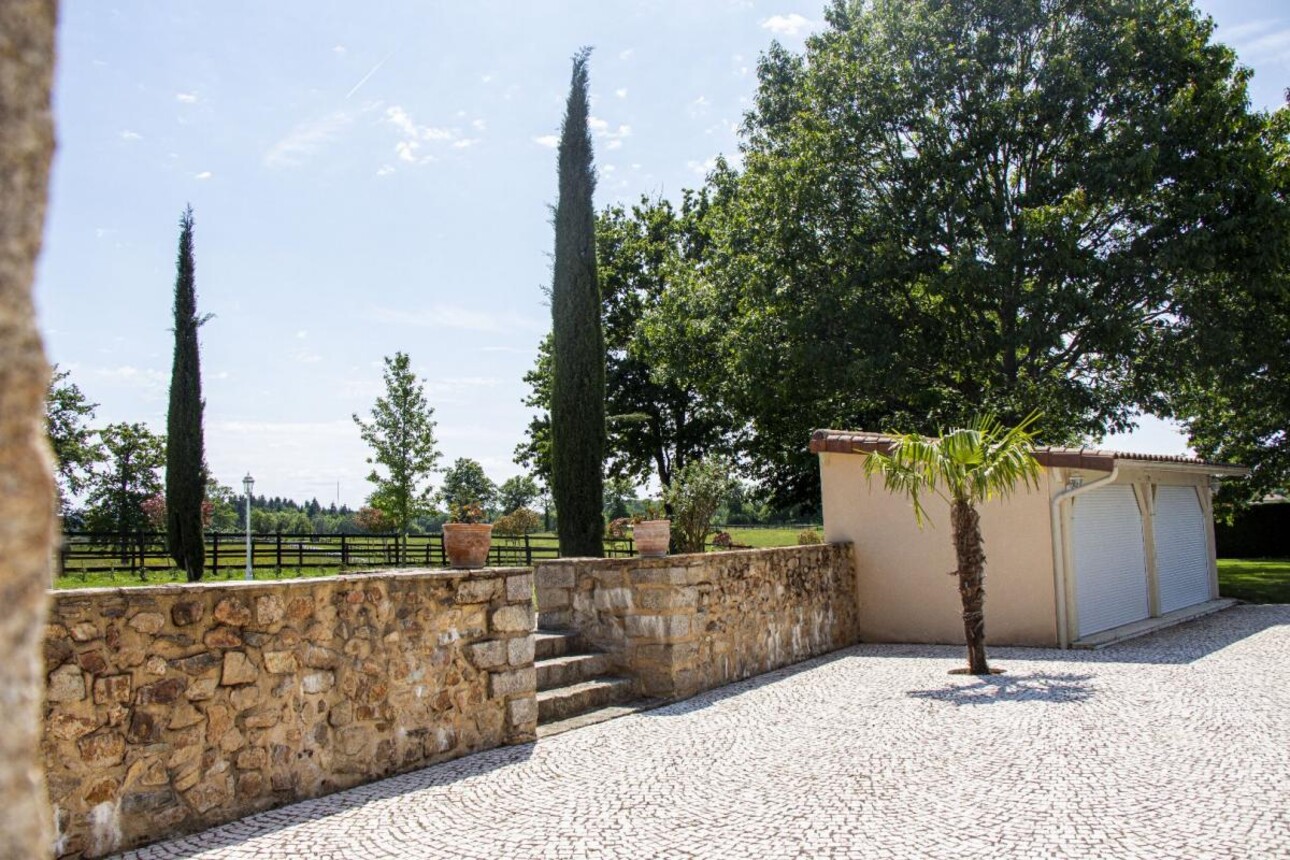 Photos 19 - Équestre - Haras / Equestre