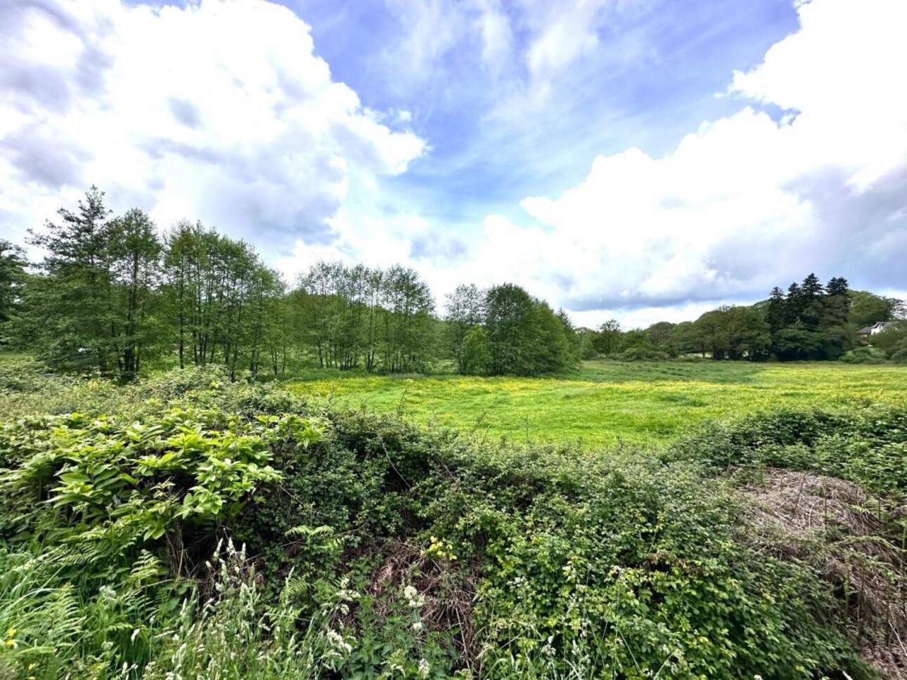 Photos 15 - Équestre - Propriété