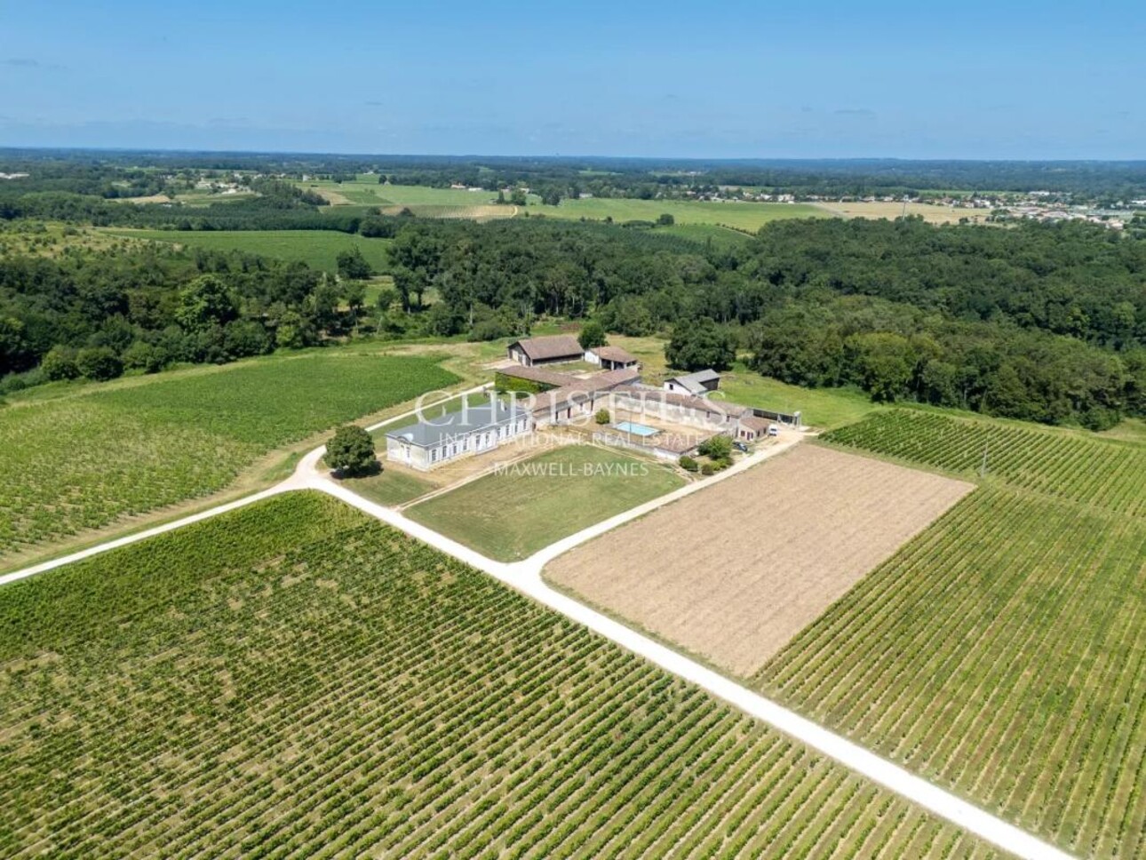 Photos 2 - Viticole - Domaine viticole historique en Fronsac avec un terroir de qualité à proximité de Libourne